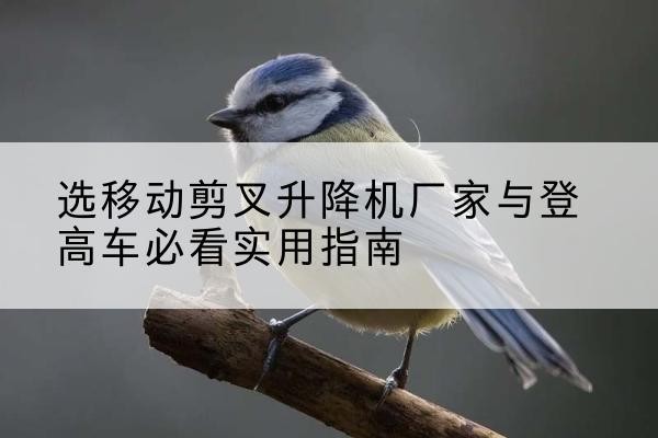 华阴电动升降机厂家-选移动剪叉升降机厂家与登高车必看实用指南