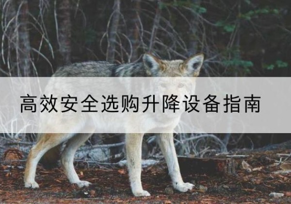 华阴升降货梯厂家推荐-*安全选购升降设备指南
