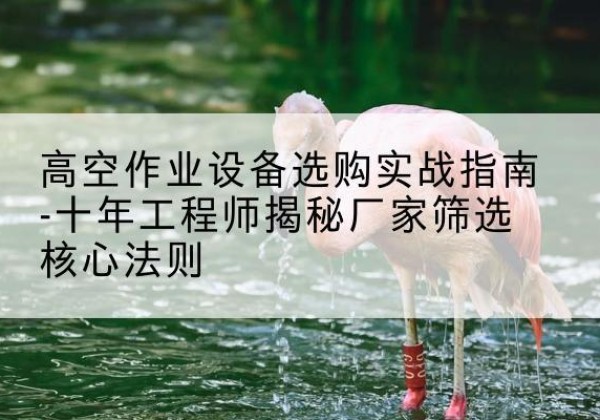 华阴剪叉式升降机厂家-高空作业设备选购实战指南-十年工程师揭秘厂家筛选核心法则